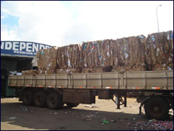 Coleta de Lixo Reciclado em SP