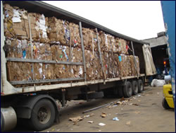 Coleta de Lixo Reciclado em SP