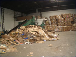 Coleta de Lixo Reciclado em SP
